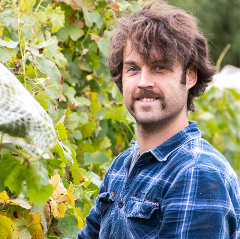 Personal notes and tasting insights